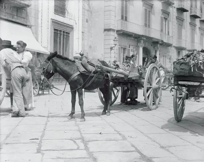 Framed Print : View of Huckster Vendors Using Horse and Carriage Framed Print : View of Huckster Vendors Using Horse and Carriage