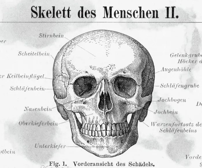 Framed Print : Front View Of Human Skull Framed Print : Front View Of Human Skull
