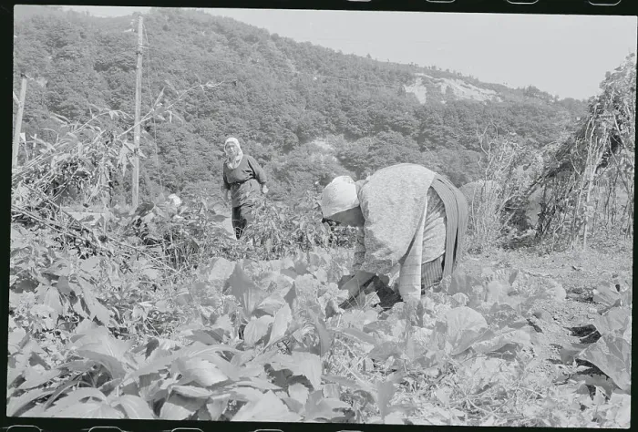 Framed Print : View of Japanese Farmers Framed Print : View of Japanese Farmers