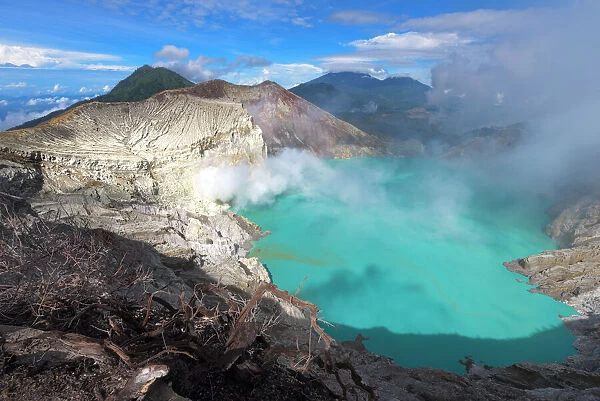 Top view of Kawah Ijen crater lake with dead tree as foreground, Java, Indonesia