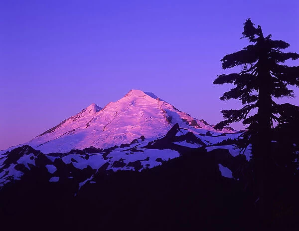 View from Kulshan Ridge at Mount Baker at sunrise, Mount Baker Recreation Area, Washington State, USA