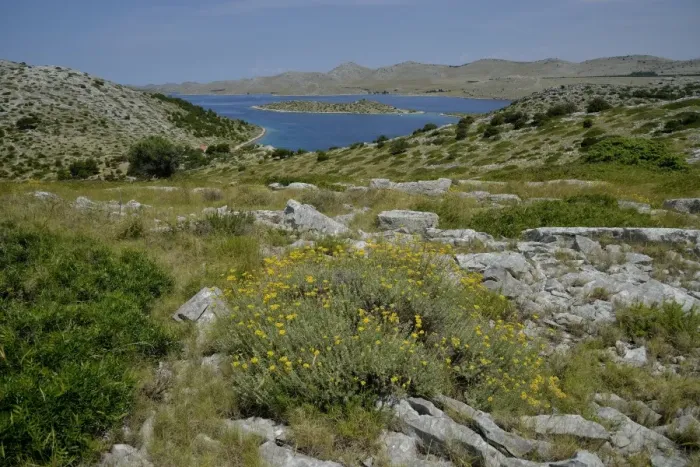 Framed Print : View from Levrnaka island over the Kornati Islands, Adriatic Sea, Kornati Islands National Park, Croatia Framed Print : View from Levrnaka island over the Kornati Islands, Adriatic Sea, Kornati Islands National Park, Croatia