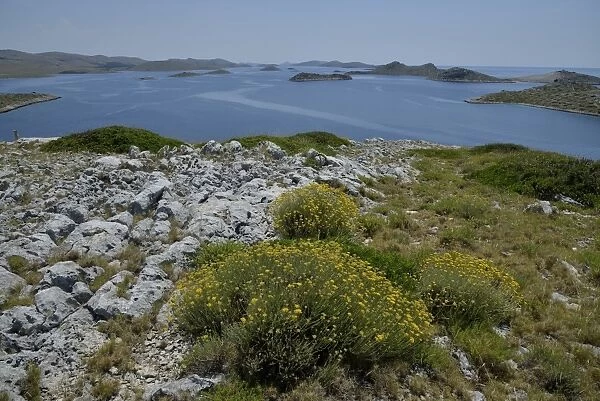 View from Levrnaka island over the Kornati Islands, Adriatic Sea, Kornati Islands National Park, Croatia