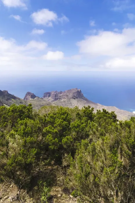 Framed Print : View from the lookout Mirador de Alojera in the Garajonay National Park, La Gomera, Canary Islands, Spain