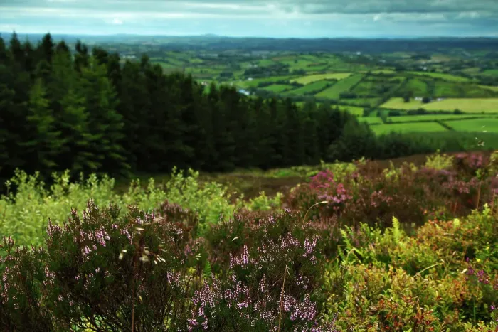Framed Print : View from the top of Loughanleagh mountain Framed Print : View from the top of Loughanleagh mountain
