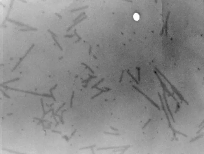 Framed Print : View of Microscopic View of Influenza Framed Print : View of Microscopic View of Influenza