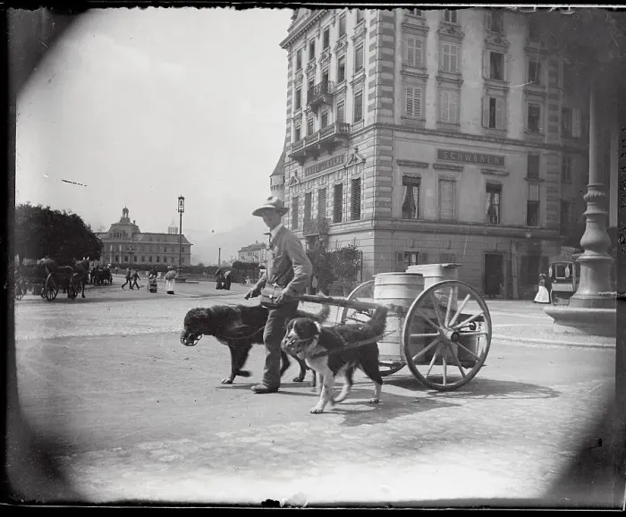 Framed Print : View of Milk Merchant with Dogs