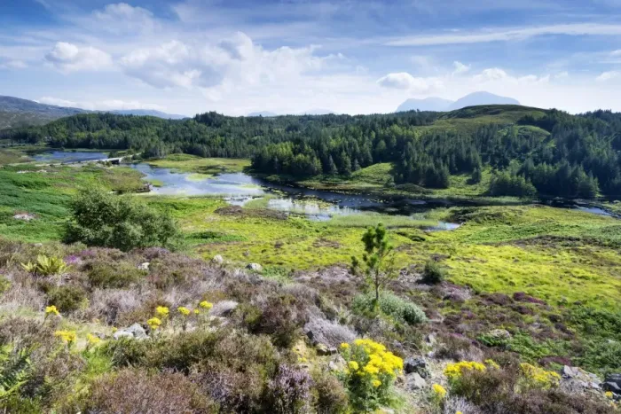 Framed Print : View across the moorland at Loch Dubhaird Mor in the Northern Highlands, Sutherland, Scotland, United Kingdom, Europe