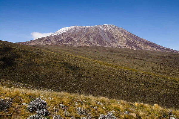 View of Mt. Kilimanjaro Across The Saddle