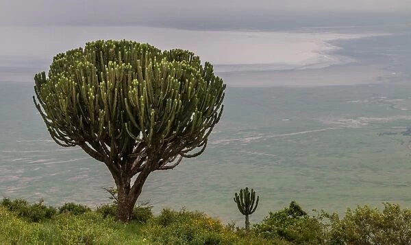 View on Ngorongoro crater