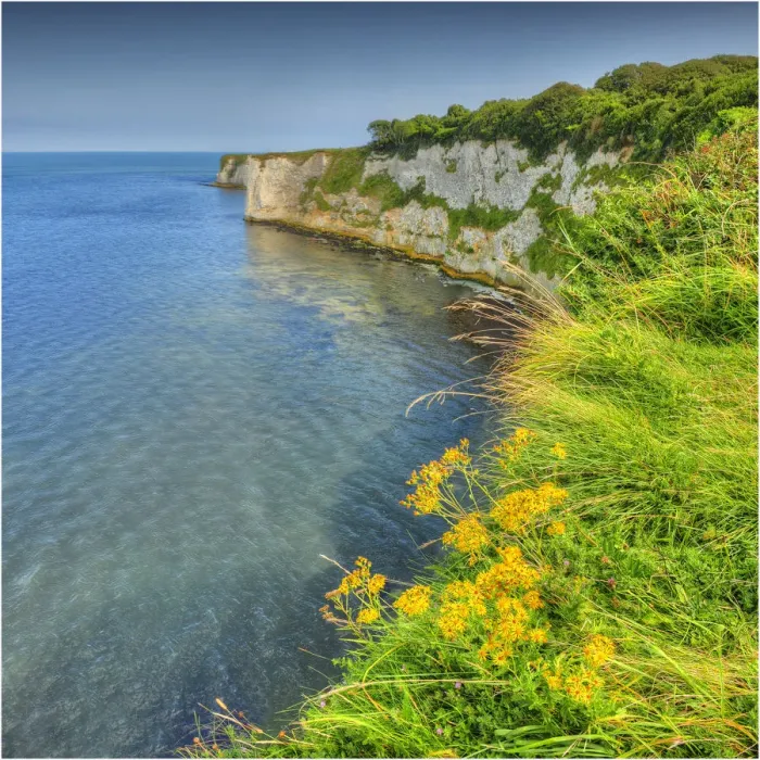 Framed Print : A view to Old Harry rocks, Jurassic coastline, Dorset, England, United Kingdom Framed Print : A view to Old Harry rocks, Jurassic coastline, Dorset, England, United Kingdom