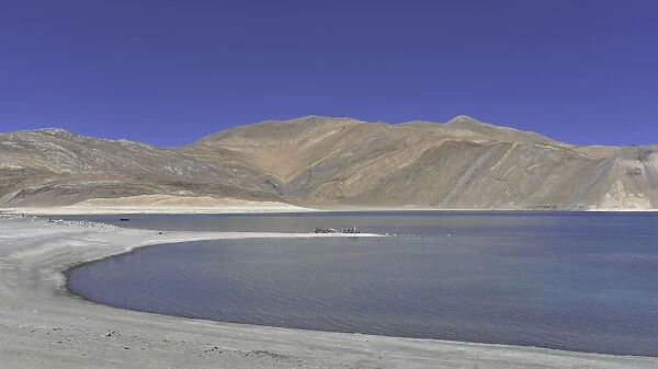 View of Pangong Lake with blue sky in summer, Leh Ladakh, North India