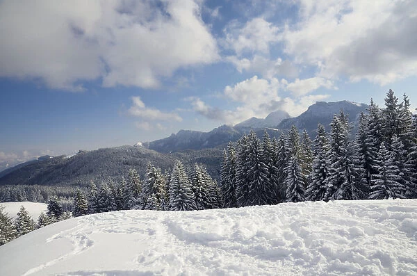 View from the peak of Mt Schwarzenberg to a snow-covered alpine upland and the Wendelstein Range, Leitzachtal, bei Elbach, Upper Bavaria, Bavaria, Germany