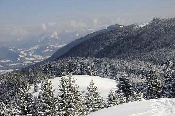 View from the peak of Mt Schwarzenberg to a snow-covered alpine upland and the Chiemgau Alps, Leitzachtal, bei Elbach, Upper Bavaria, Bavaria, Germany