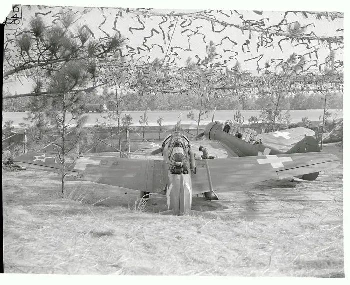 Framed Print : View of Plane at Camouflaged Airport Framed Print : View of Plane at Camouflaged Airport