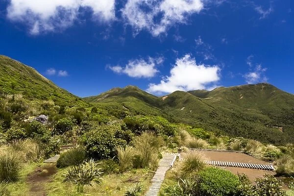 View from the Pouakai Hut of the summit of Mt Pouakai, Pouakai Range, Egmont National Park, Taranaki Region, New Zealand