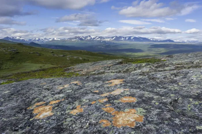 Framed Print : View from the Prinskullen mountain, rocks and lichen at the front, Kvikkjokk, Norrbotten County, Sweden