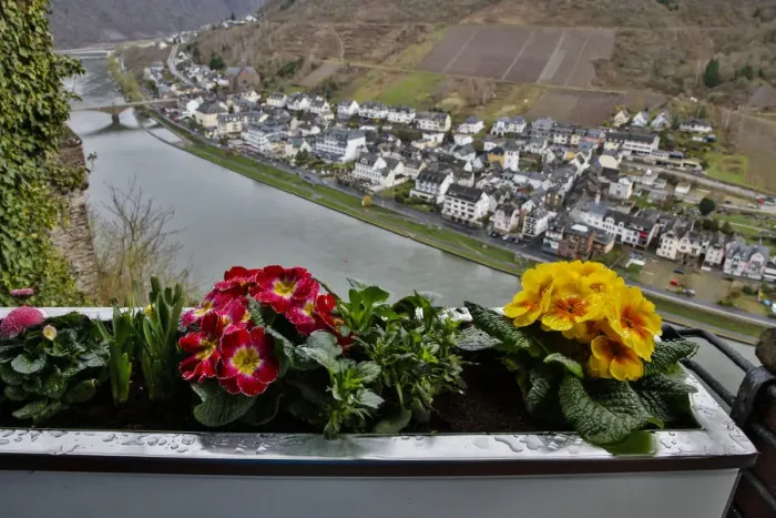 Framed Print : View from Reichsburg Castle to Moselle River and town, Cochem, Rhineland-Palatinate, Germany Framed Print : View from Reichsburg Castle to Moselle River and town, Cochem, Rhineland-Palatinate, Germany