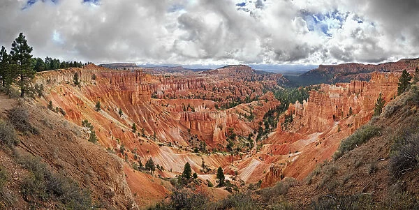 View from Rim Trail into the Queens Garden, landscape formed by erosion, Bryce Canyon National Park, Utah, United States