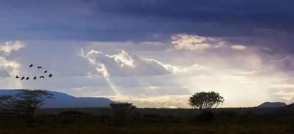 View of the Samburu National Park at dusk, Samburu National Reserve, Kenya, East Africa, PublicGround