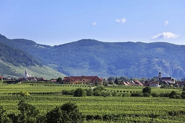 View from Sankt Michael village looking towards Woesendorf and Weissenkirchen, Wachau valley, Waldviertel region, Lower Austria, Austria, Europe