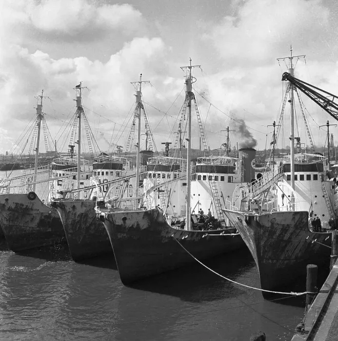 Framed Print : View of Ships Near Pier Framed Print : View of Ships Near Pier