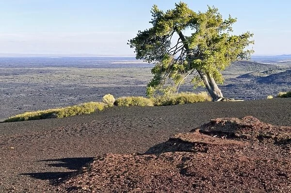 View from the summit plateau of Inferno Cone, Craters of the Moon National Monument, Arco, Highway 20, Idaho, USA