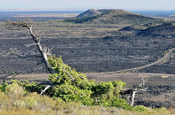 View from the summit plateau of Inferno Cone, Craters of the Moon National Monument, Arco, Highway 20, Idaho, USA