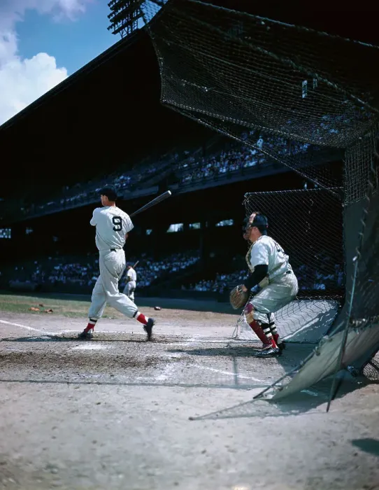 Framed Print : Back View of Ted Williams Batting Framed Print : Back View of Ted Williams Batting