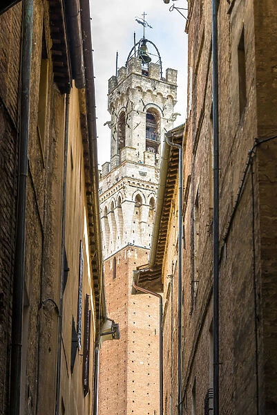 A view of Torre del Mangia in Siena