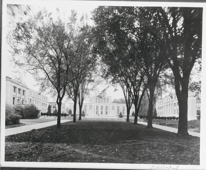 Framed Print : View of Tree Lined Street Near Pennsylvania State College Framed Print : View of Tree Lined Street Near Pennsylvania State College