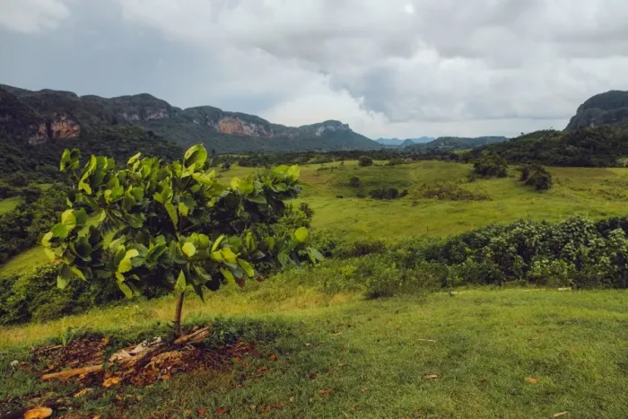 Framed Print : View on ViAnales valley, in Cuba