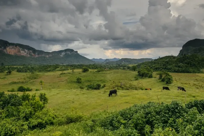 Framed Print : View on ViAnales valley, in Cuba Framed Print : View on ViAnales valley, in Cuba