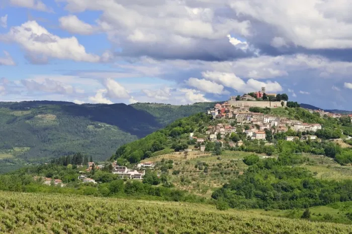 Framed Print : View across vineyards to the town with atmospheric clouds, Motovun, Montona, Mirna Valley, Istria, Croatia Framed Print : View across vineyards to the town with atmospheric clouds, Motovun, Montona, Mirna Valley, Istria, Croatia