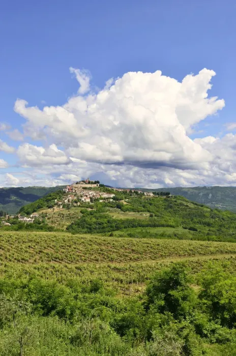 Framed Print : View across vineyards to the town with atmospheric clouds, Motovun, Montona, Mirna Valley, Istria, Croatia Framed Print : View across vineyards to the town with atmospheric clouds, Motovun, Montona, Mirna Valley, Istria, Croatia