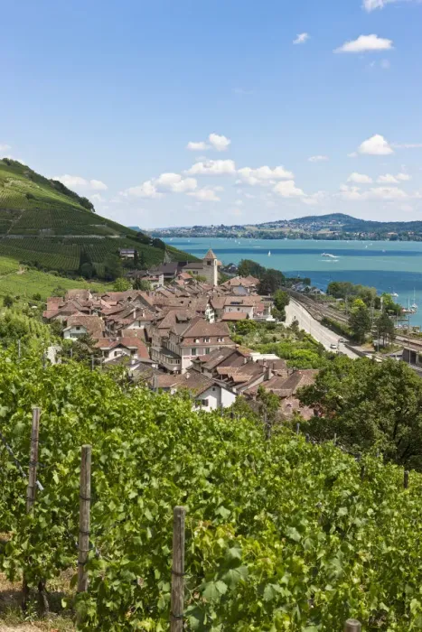 Framed Print : View over the vineyards on Twann village, Lake Bieler See, Canton Bern, Switzerland, Europe Framed Print : View over the vineyards on Twann village, Lake Bieler See, Canton Bern, Switzerland, Europe