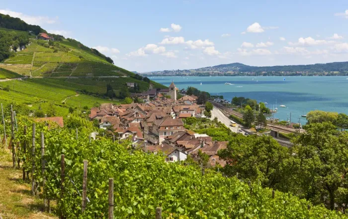 Framed Print : View over the vineyards on Twann village, Lake Bieler See, Canton Bern, Switzerland, Europe Framed Print : View over the vineyards on Twann village, Lake Bieler See, Canton Bern, Switzerland, Europe