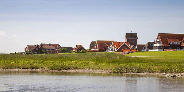 View of Westdorf village, Baltrum, East Frisian Islands, East Frisia, Lower Saxony, Germany