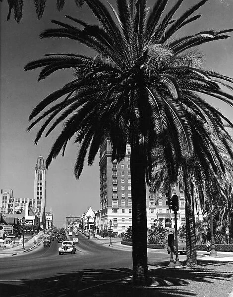 View Of Wilshire Boulevard, Los Angeles