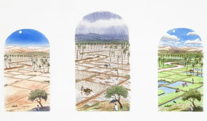 Framed Print : Three views of the same rice field in different weather conditions, during a draught, monsoon and after the rain Framed Print : Three views of the same rice field in different weather conditions, during a draught, monsoon and after the rain