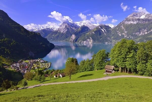Views of Sisikon and Urnersee lake, part of Lake Lucerne, Swiss Path, Uri Alps or Urner Alps in Central Switzerland with the mountains Brunnistock, Uri-Rotstock and Oberbauenstock, Canton of Uri, Switzerland