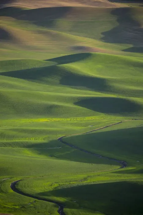 Framed Print : Views from Steptoe Butte State Park, Whitman County, Washington State, USA Framed Print : Views from Steptoe Butte State Park, Whitman County, Washington State, USA