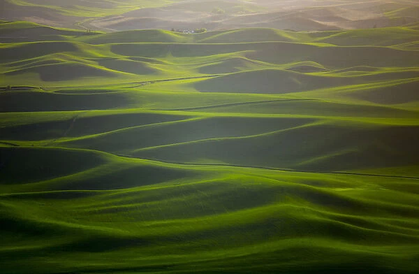Views from Steptoe Butte State Park, Whitman County, Washington State, USA
