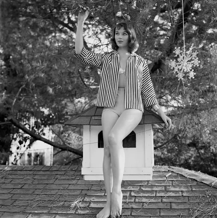 Framed Print : Vikki Dougan Framed Print : Vikki Dougan