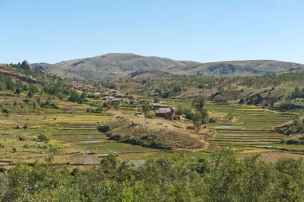 Village of the Merina people with terraced rice paddies, near Antananarivo, Madagascar