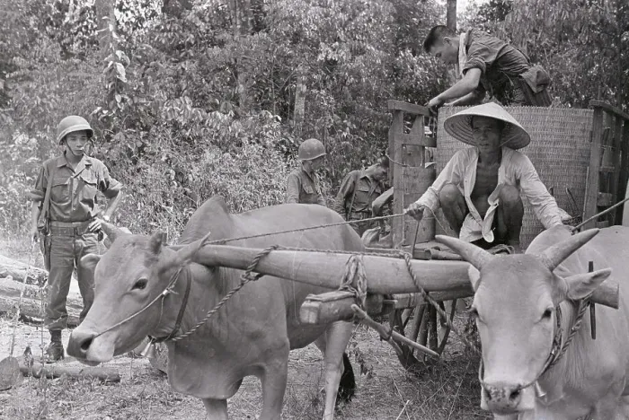 Framed Print : Villagers Loading Belongings on Ox-Cart