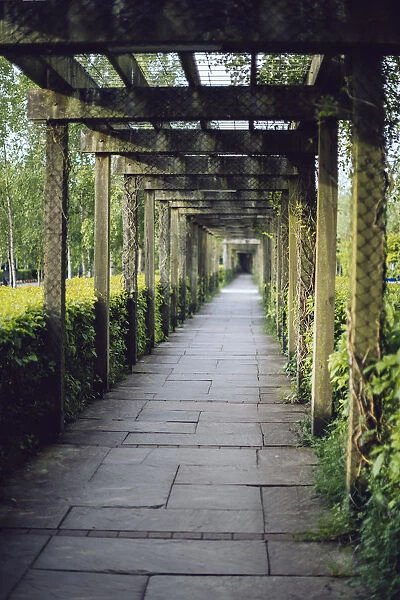 Vine covered passage leading to the entrance of Bru na BAoinne, Ireland