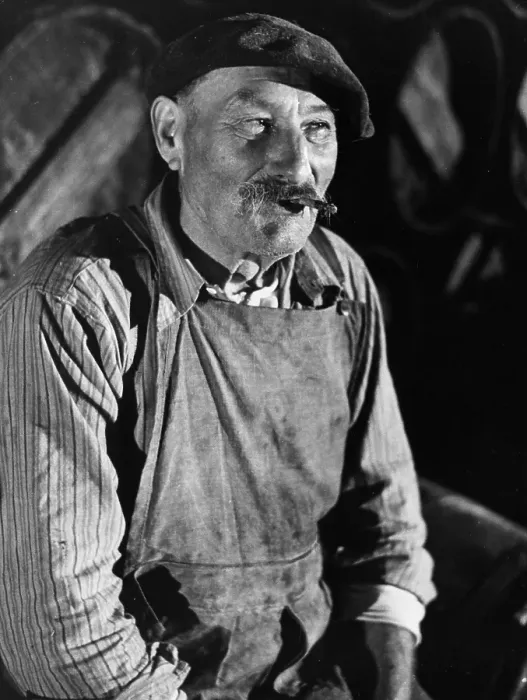 Framed Print : Vineyard Worker Framed Print : Vineyard Worker