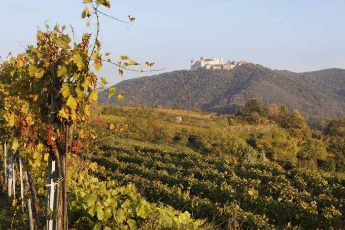 Framed Print : Vineyards, Goettweig Abbey at the back, Wachau valley, Mostviertel region, Lower Austria, Austria, Europe Framed Print : Vineyards, Goettweig Abbey at the back, Wachau valley, Mostviertel region, Lower Austria, Austria, Europe