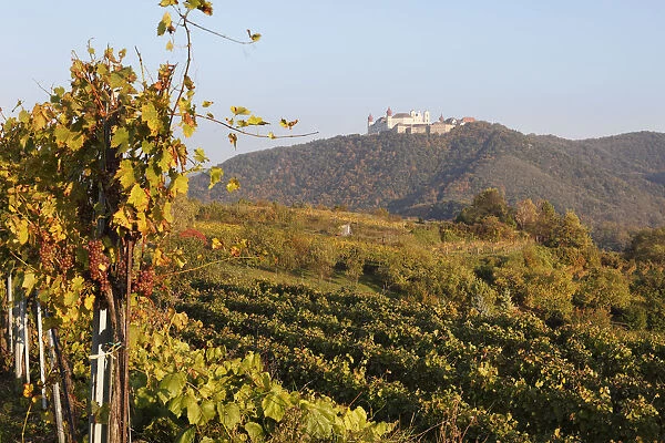 Vineyards, Goettweig Abbey at the back, Wachau valley, Mostviertel region, Lower Austria, Austria, Europe
